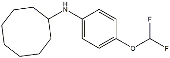 N-[4-(difluoromethoxy)phenyl]cyclooctanamine|