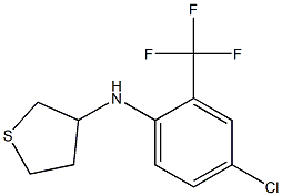 N-[4-chloro-2-(trifluoromethyl)phenyl]thiolan-3-amine