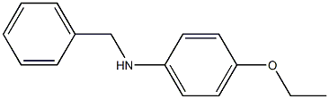 N-ベンジル-4-エトキシアニリン 化学構造式