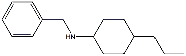 N-benzyl-4-propylcyclohexan-1-amine Structure