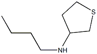 N-butylthiolan-3-amine,,结构式