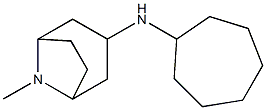 N-cycloheptyl-8-methyl-8-azabicyclo[3.2.1]octan-3-amine 结构式