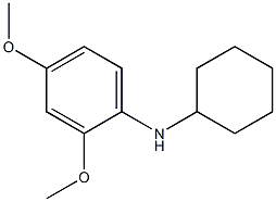 N-cyclohexyl-2,4-dimethoxyaniline Structure