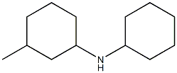 N-cyclohexyl-3-methylcyclohexan-1-amine 化学構造式