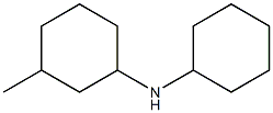  N-cyclohexyl-3-methylcyclohexan-1-amine