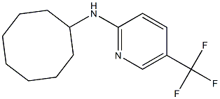 N-cyclooctyl-5-(trifluoromethyl)pyridin-2-amine Struktur