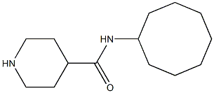 N-cyclooctylpiperidine-4-carboxamide Struktur