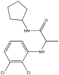 N-cyclopentyl-2-[(2,3-dichlorophenyl)amino]propanamide,,结构式