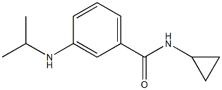 N-cyclopropyl-3-(propan-2-ylamino)benzamide,,结构式