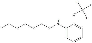 N-heptyl-2-(trifluoromethoxy)aniline 结构式