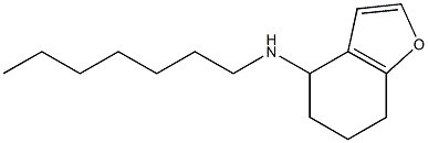 N-heptyl-4,5,6,7-tetrahydro-1-benzofuran-4-amine Structure