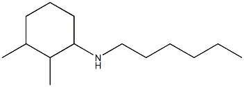 N-hexyl-2,3-dimethylcyclohexan-1-amine 化学構造式