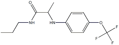 N-propyl-2-{[4-(trifluoromethoxy)phenyl]amino}propanamide,,结构式