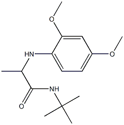 N-tert-butyl-2-[(2,4-dimethoxyphenyl)amino]propanamide Struktur