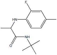 N-tert-butyl-2-[(2-fluoro-4-methylphenyl)amino]propanamide 结构式