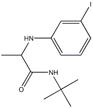 N-tert-butyl-2-[(3-iodophenyl)amino]propanamide Struktur