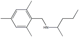 pentan-2-yl[(2,4,6-trimethylphenyl)methyl]amine|