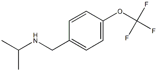 propan-2-yl({[4-(trifluoromethoxy)phenyl]methyl})amine 结构式