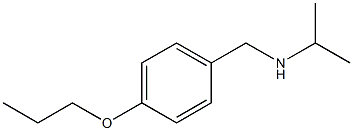 propan-2-yl[(4-propoxyphenyl)methyl]amine