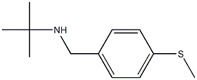  tert-butyl({[4-(methylsulfanyl)phenyl]methyl})amine