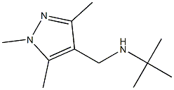 tert-butyl[(1,3,5-trimethyl-1H-pyrazol-4-yl)methyl]amine Struktur
