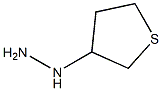 thiolan-3-ylhydrazine Structure