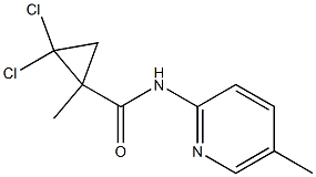 2,2-dichloro-1-methyl-N-(5-methyl-2-pyridinyl)cyclopropanecarboxamide Struktur