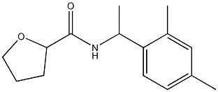  N-[1-(2,4-dimethylphenyl)ethyl]tetrahydro-2-furancarboxamide