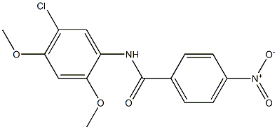 N-(5-chloro-2,4-dimethoxyphenyl)-4-nitrobenzamide 结构式