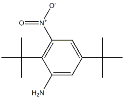 2,5-ditert-butyl-3-nitroaniline Structure