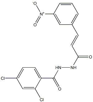 2,4-dichloro-N'-[(E)-3-(3-nitrophenyl)-2-propenoyl]benzohydrazide Struktur