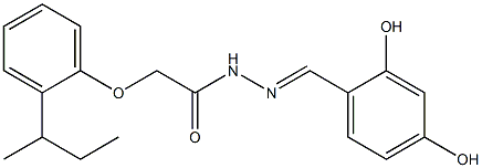 2-[2-(sec-butyl)phenoxy]-N'-[(E)-(2,4-dihydroxyphenyl)methylidene]acetohydrazide Structure