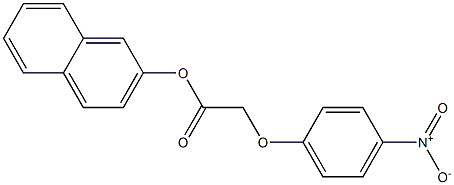 2-naphthyl 2-(4-nitrophenoxy)acetate