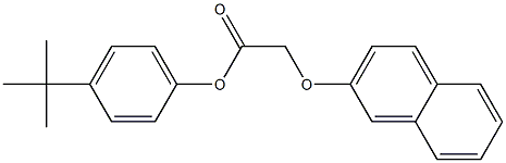 4-(tert-butyl)phenyl 2-(2-naphthyloxy)acetate,,结构式
