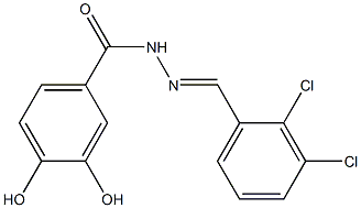 N'-[(E)-(2,3-dichlorophenyl)methylidene]-3,4-dihydroxybenzohydrazide