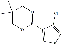 2-(4-Chloro-3-thienyl)-5,5-dimethyl-1,3,2-dioxaborinane Struktur