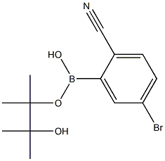 2-Cyano-5-bromophenylboronic acid pinacol ester ,98%