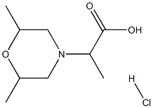 2-(2,6-dimethylmorpholin-4-yl)propanoic acid hydrochloride|