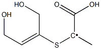  1-Carboxy-1-[(1-hydroxymethyl-2-hydroxymethylethenyl)thio]ethyl radical