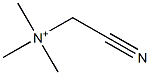 Cyanomethyltrimethylammonium Structure