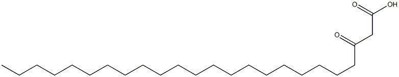 3-オキソテトラコサン酸 化学構造式