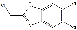  2-Chloromethyl-5,6-dichloro-1H-benzimidazole