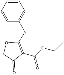 2-Anilino-4,5-dihydro-4-oxofuran-3-carboxylic acid ethyl ester Struktur