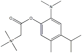 2-[2-(Dimethylamino)-4-isopropyl-5-methylphenoxy]-2-oxo-N,N,N-trimethylethanaminium Struktur