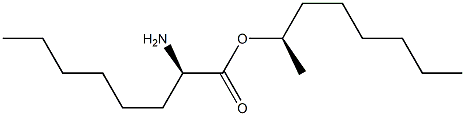 (R)-2-アミノオクタン酸(R)-1-メチルヘプチル 化学構造式