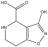 4,5,6,7-テトラヒドロ-3-ヒドロキシイソオキサゾロ[4,5-c]ピリジン-4-カルボン酸 化学構造式