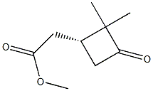 (1R)-3-オキソ-2,2-ジメチルシクロブタン-1-酢酸メチル 化学構造式