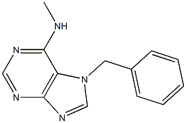 6-Methylamino-7-benzyl-7H-purine Structure
