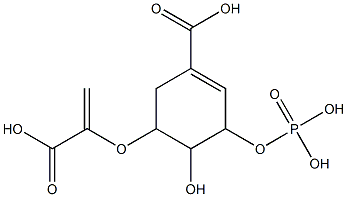  3-(Phosphonooxy)-4-hydroxy-5-[(1-carboxyvinyl)oxy]cyclohexene-1-carboxylic acid