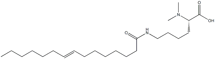 N6-(8-ペンタデセノイル)-N2,N2-ジメチルリシン 化学構造式